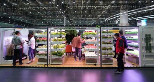 進(jìn)博會上的“集裝箱農(nóng)場” 科技重塑農(nóng)產(chǎn)品生產(chǎn)新未來